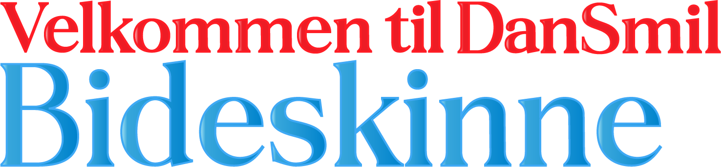 bideskinne